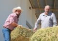 Beneficia alcalde de Los Cabos Christian Agúndez a 150 productores agrícolas y ganaderos con entrega de alfalfa y alimento concentrado