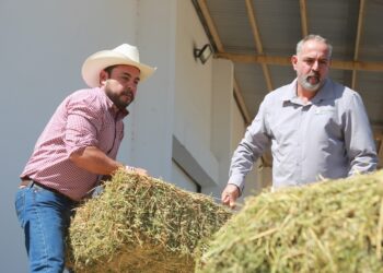 Beneficia alcalde de Los Cabos Christian Agúndez a 150 productores agrícolas y ganaderos con entrega de alfalfa y alimento concentrado