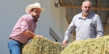 Beneficia alcalde de Los Cabos Christian Agúndez a 150 productores agrícolas y ganaderos con entrega de alfalfa y alimento concentrado