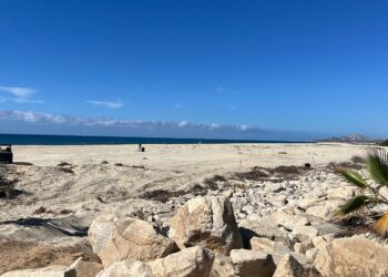 Supervisan trabajos de limpieza y rehabilitación en playa contigua a la Marina Puerto Los Cabos