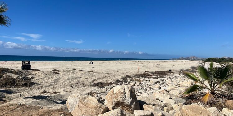Supervisan trabajos de limpieza y rehabilitación en playa contigua a la Marina Puerto Los Cabos
