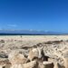 Supervisan trabajos de limpieza y rehabilitación en playa contigua a la Marina Puerto Los Cabos