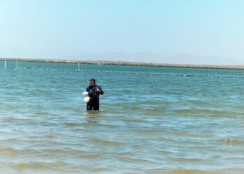 Determina COEPRIS condición sin riesgo sanitario en bahía de La Paz