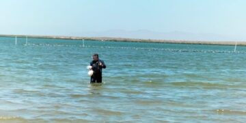 Determina COEPRIS condición sin riesgo sanitario en bahía de La Paz