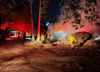 Bajo control, incendio forestal en el Estero Josefino; realizan fase de enfriamiento