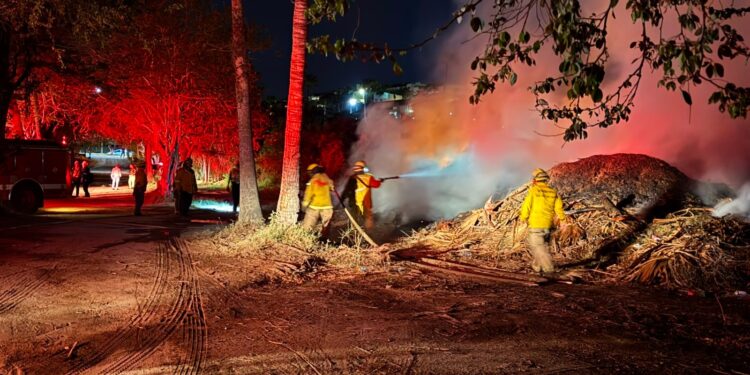 Bajo control, incendio forestal en el Estero Josefino; realizan fase de enfriamiento