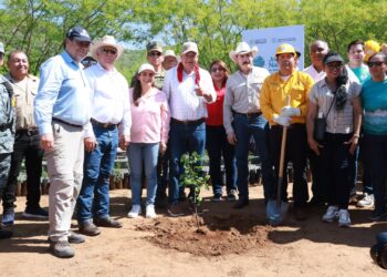 BCS se suma a Jornada Nacional de Reforestación para fortalecer la conservación ambiental