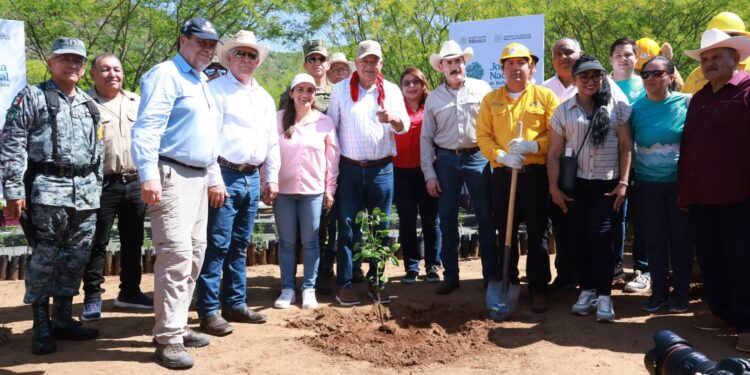 BCS se suma a Jornada Nacional de Reforestación para fortalecer la conservación ambiental