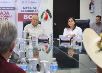 Mesa de Seguridad de BCS refuerza vigilancia para proteger al sector ganadero ante riesgo de gusano barrenador