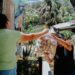 Más de 7 toneladas de alimentos rescatados fortalecen la nutrición de niñas y niños de La Playa en 2026