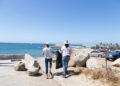 Puerto Los Cabos protege a las tortugas marinas con acciones durante todo el año