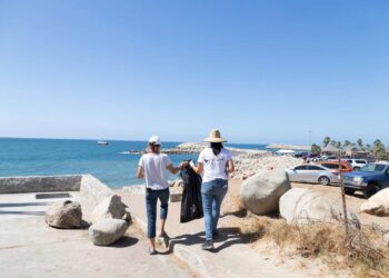 Puerto Los Cabos protege a las tortugas marinas con acciones durante todo el año