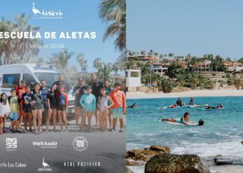 Niñas y niños de comunidades costeras aprenden a desenvolverse con seguridad en el mar