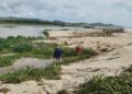 Realiza Ayuntamiento de Los Cabos trabajos de limpieza y saneamiento en la bocana del Estero de San José del Cabo