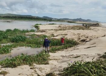 Realiza Ayuntamiento de Los Cabos trabajos de limpieza y saneamiento en la bocana del Estero de San José del Cabo
