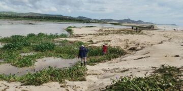 Realiza Ayuntamiento de Los Cabos trabajos de limpieza y saneamiento en la bocana del Estero de San José del Cabo