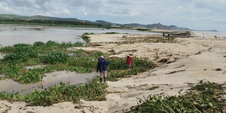 Realiza Ayuntamiento de Los Cabos trabajos de limpieza y saneamiento en la bocana del Estero de San José del Cabo