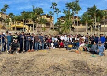 Realizan jornada de limpieza y concientización en zona costera de Cabo San Lucas tras lluvias