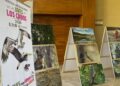 Niñas y niños aprenden a conocer y proteger las aves del Estero de San José del Cabo