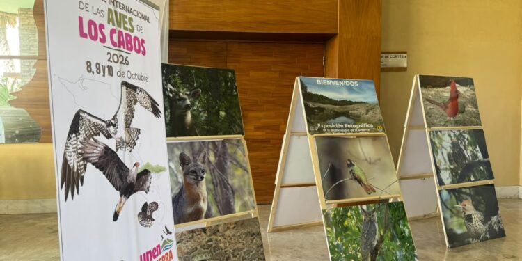 Niñas y niños aprenden a conocer y proteger las aves del Estero de San José del Cabo