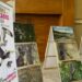 Niñas y niños aprenden a conocer y proteger las aves del Estero de San José del Cabo