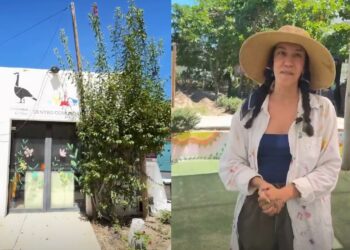 La Playa Centro Comunitario ofrece talleres gratuitos de arte, música, inglés y educación ambiental en Los Cabos